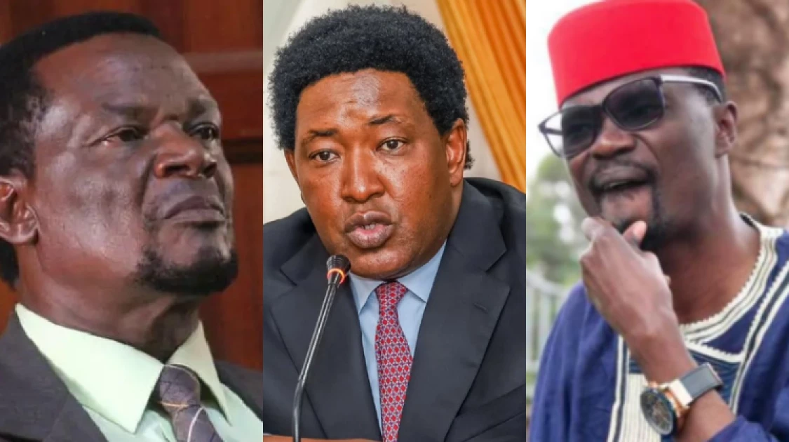 Waluke, Didmus Barasa, Olekina among 46 MPs nominated for National Honours