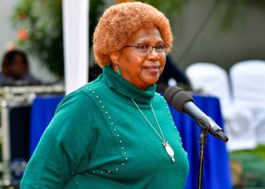 Auctioneers raid MP Jayne Kihara's home, seize vehicle, 127 goats and sheep