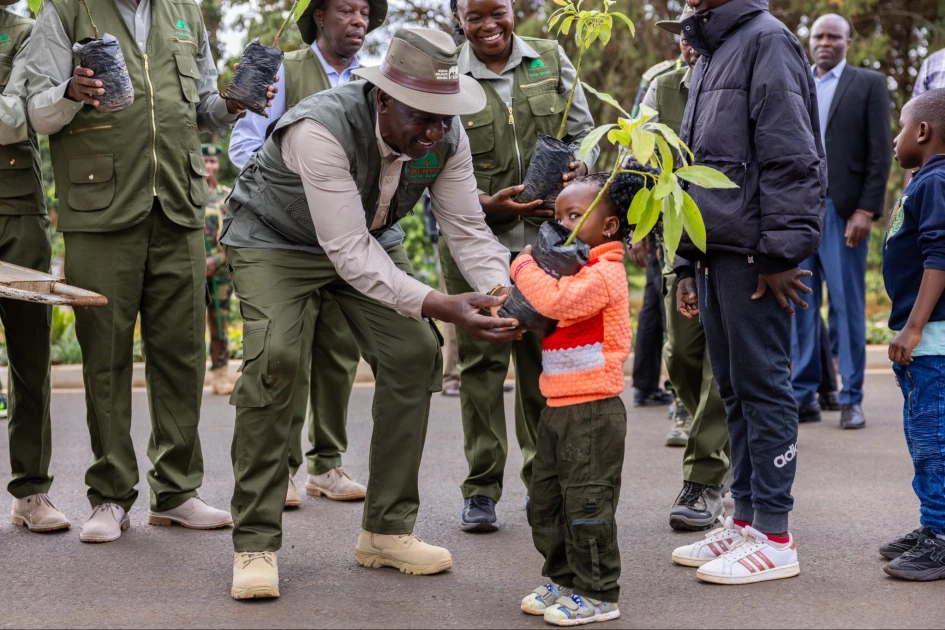 Mazingira Day: Ruto announces plan to produce 2 billion tree seedlings yearly Mazingira Day: Ruto announces plan to produce 2 billion tree seedlings yearly
