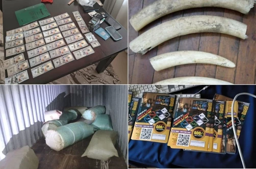 DCI seizes Ksh.17 million worth of bhang, fake US dollars, and ivory in week-long raid