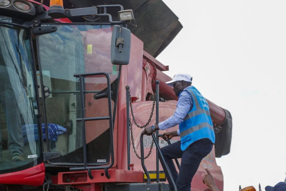 First maize harvest kicks off at revived Galana Kulalu irrigation scheme