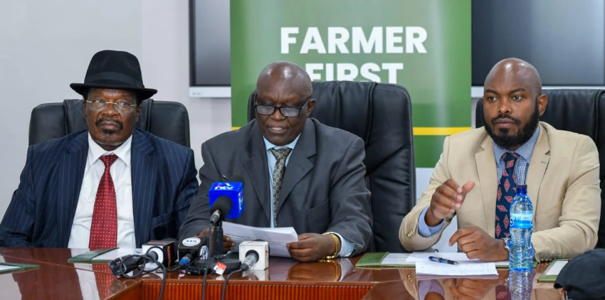 KTDA dismisses claims of funds diversion from West to East Rift Valley