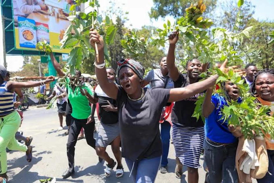 How green branches became the signature symbol of a nation in mourning How green branches became the signature symbol of a nation in mourning