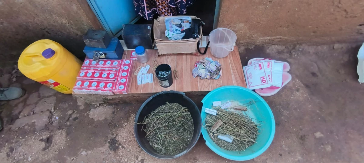 One arrested as NACADA seizes drugs in Maseno crackdown targeting student network One arrested as NACADA seizes drugs in Maseno crackdown targeting student network