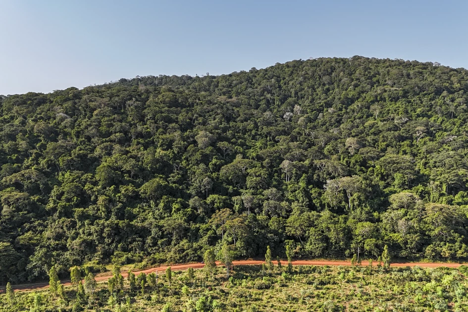 Global powers eye rare earths at Kenya's Mrima Hill