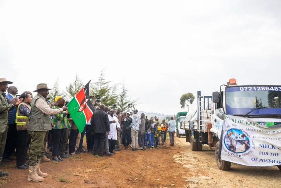 Govt begins restoration of 81,500 degraded acres in Mau Forest