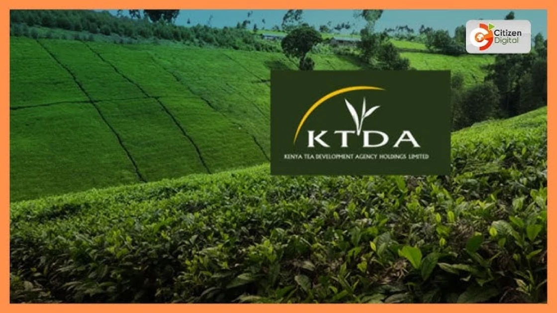 Court bars KTDA and Chai Trading Company from executing multi-million security tender