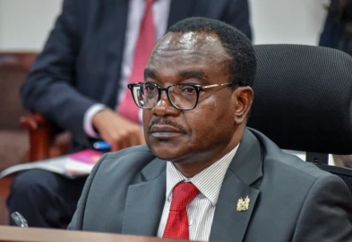 Gov’t halts capitation for 29 schools in ongoing audit on ghost learners