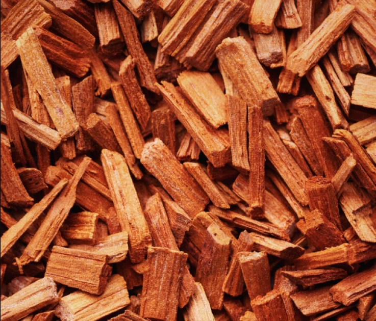 What is sandalwood, and why Kenya banned its harvesting?