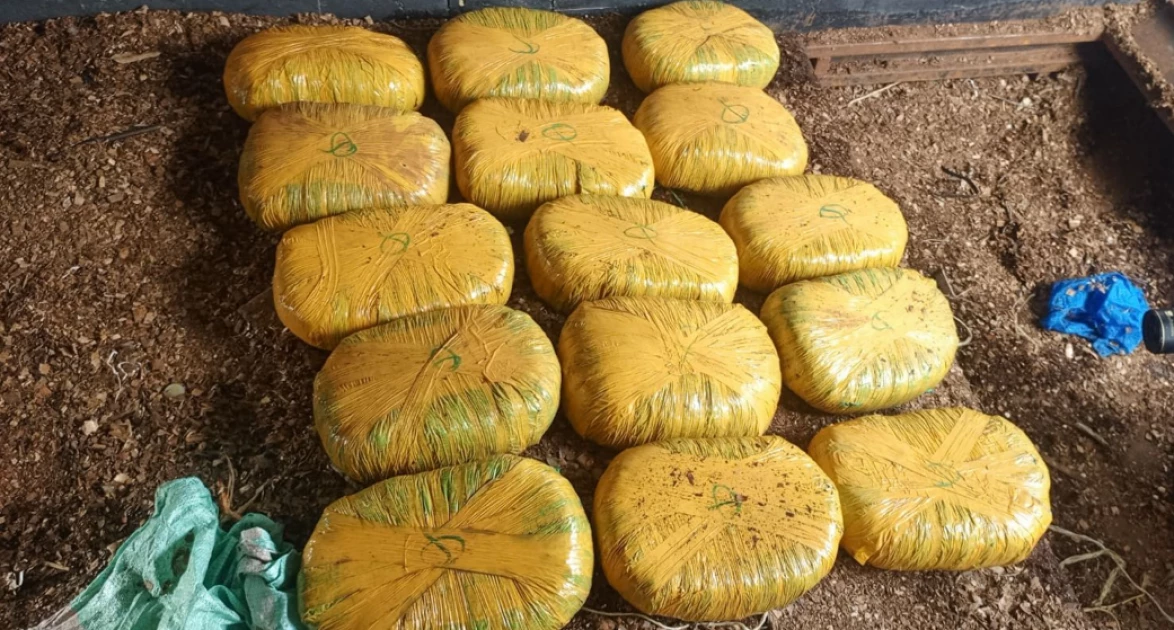 Police nab 15 bales of bhang in Meru
