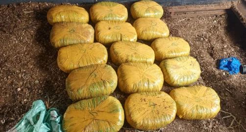 Police nab 15 bales of bhang in Meru