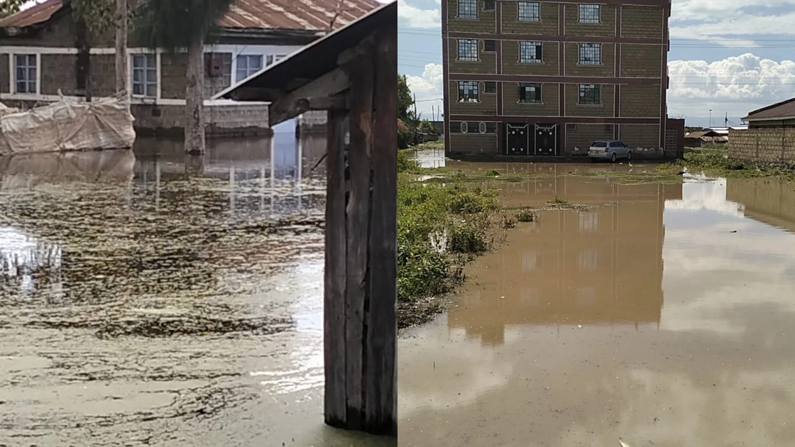 Families displaced by rising Lake Naivasha waters