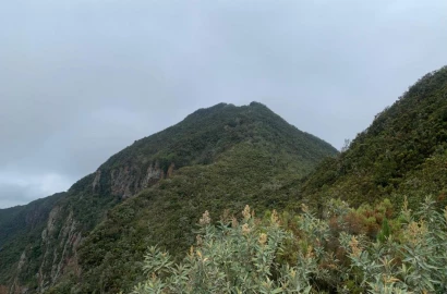 My first hike: A 'peak' experience at Mt Longonot that I wasn't prepared for