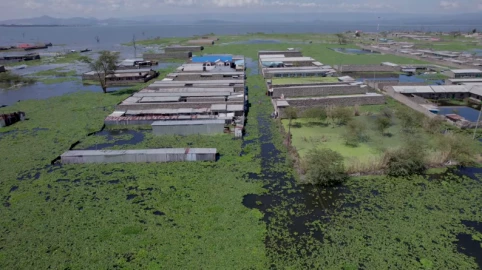 Naivasha residents count losses as rising lake waters displace thousands