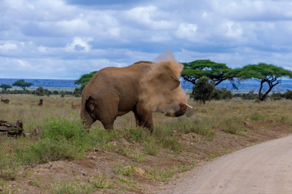 Embusel to Amboseli: What is in a name?
