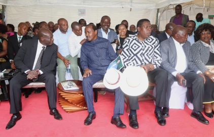 Opposition leaders say Ruto now 'confused' after Kalonzo's Nyanza reception