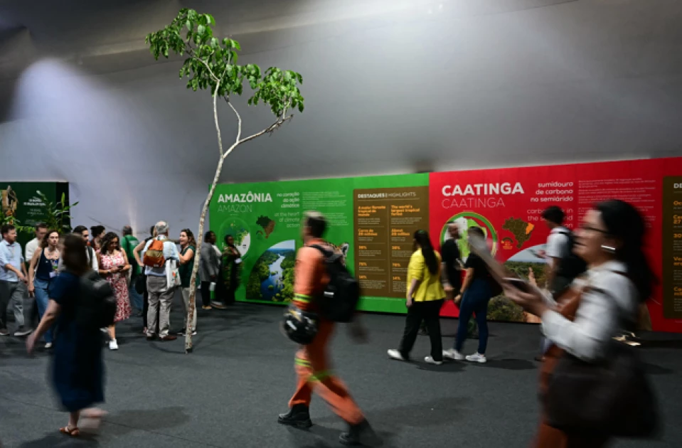 Ethiopia set to host UN's 2027 climate summit, 2026 undecided