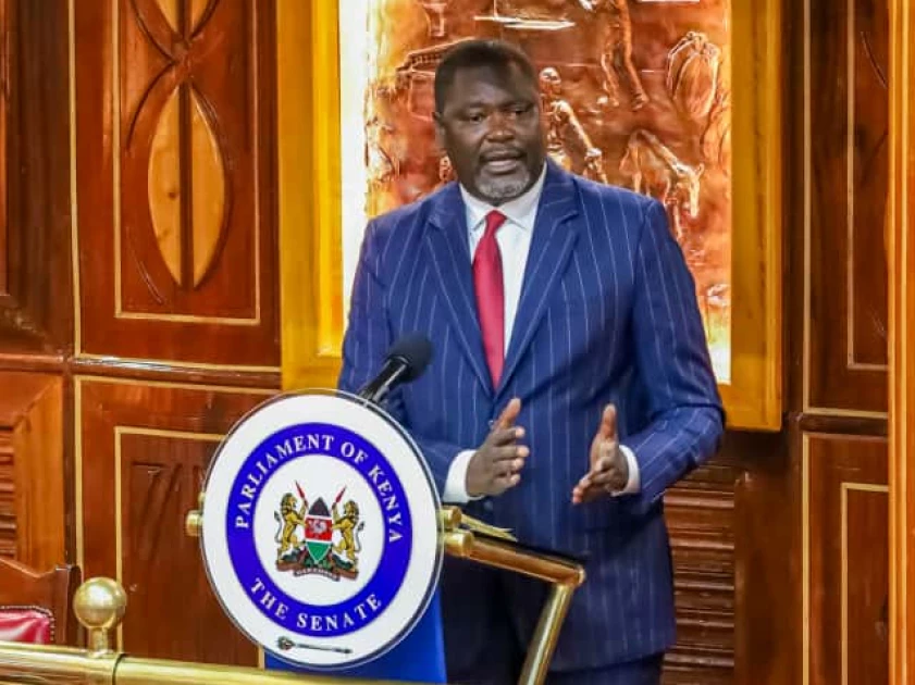 Public Service CS Ruku announces plan to commercialise NYS