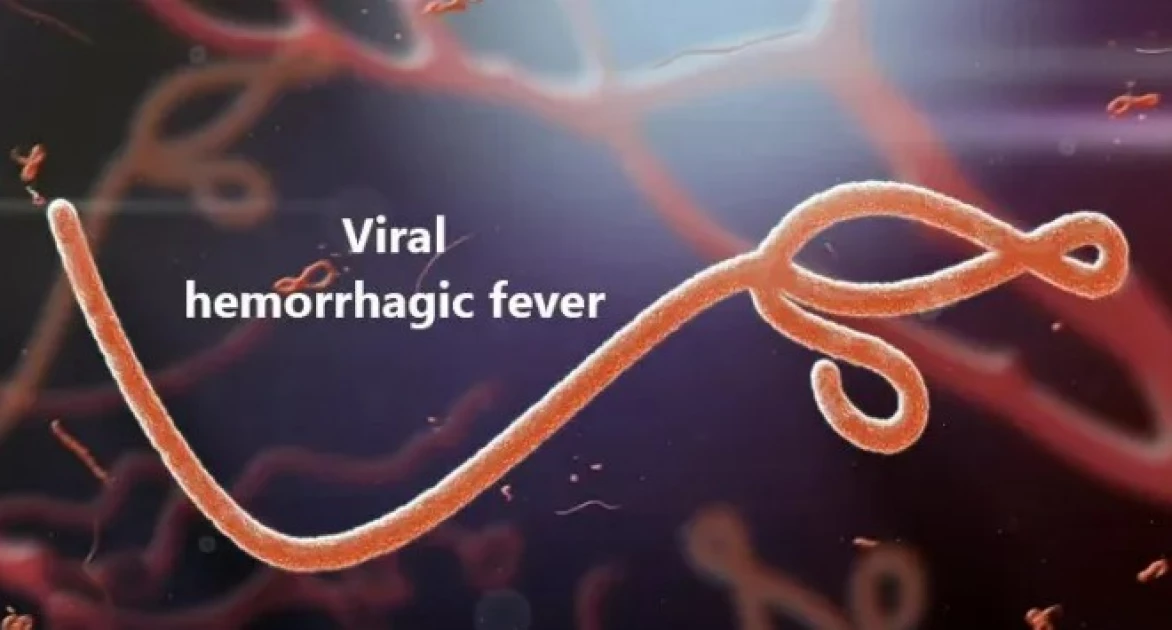 Ethiopia records 8 cases of viral haemorrhagic fever - WHO