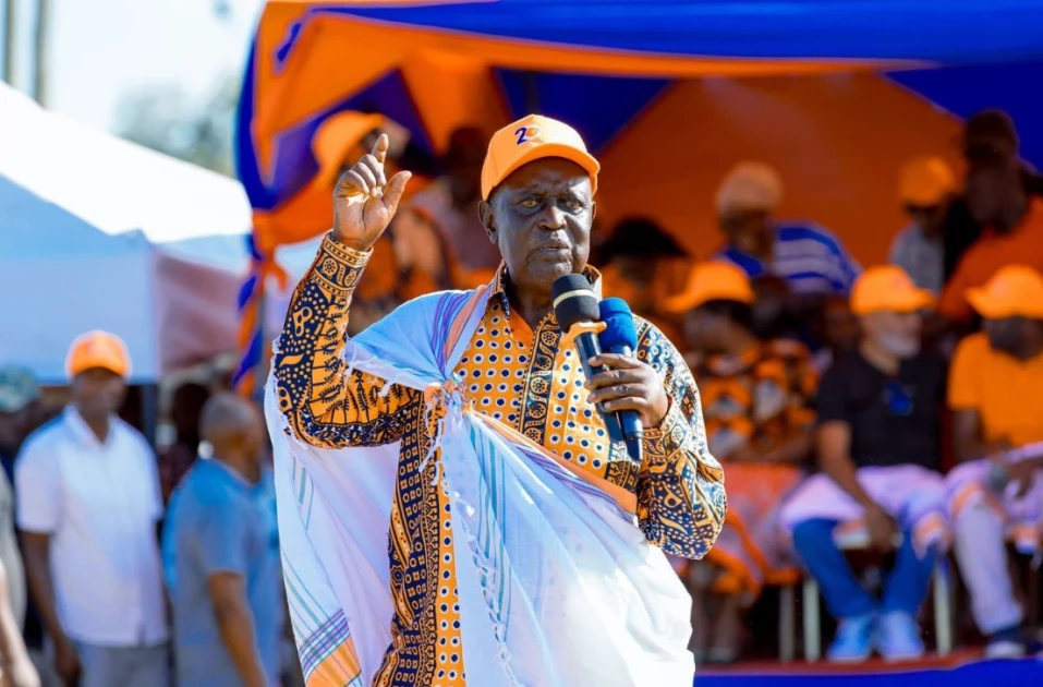 ODM ratifies Oburu Oginga's appointment as party leader