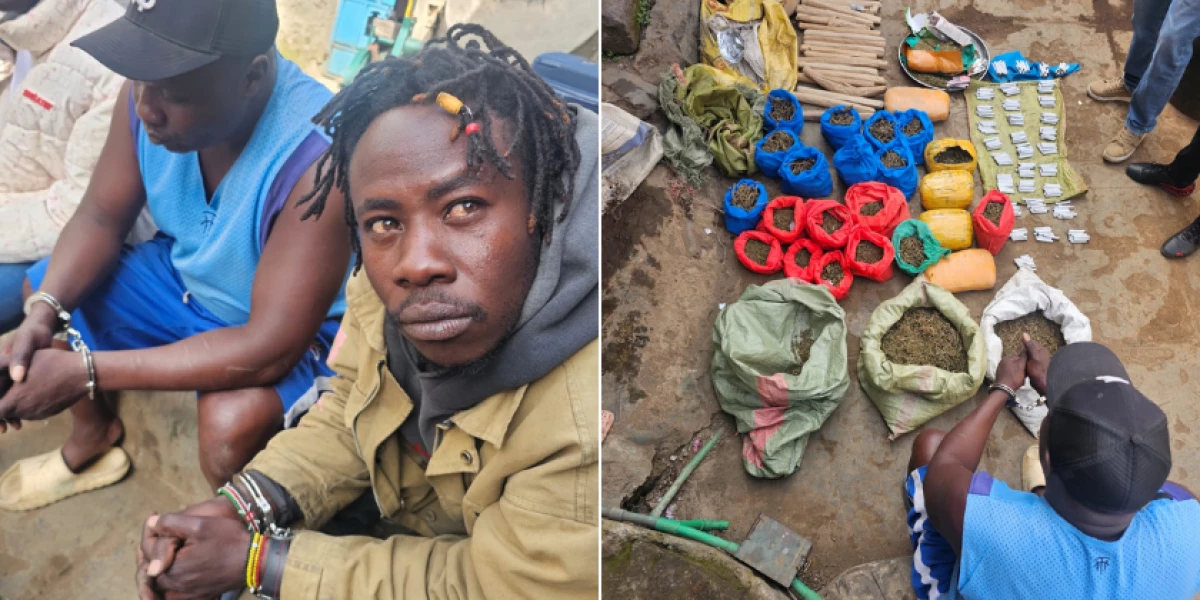 Two arrested as NACADA seizes bhang worth Ksh.2M in Naivasha