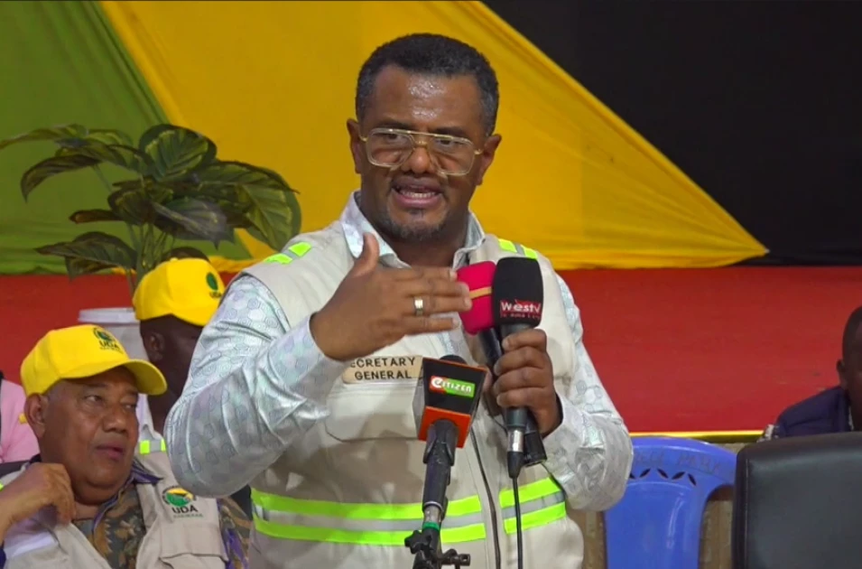 UDA vows to honour Raila through full implementation of NADCO report, 10-point agenda