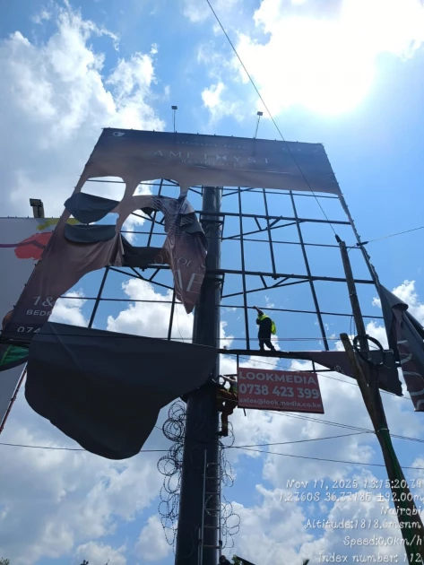 City Hall sweeps out 275 illegal billboards in expansive citywide crackdown