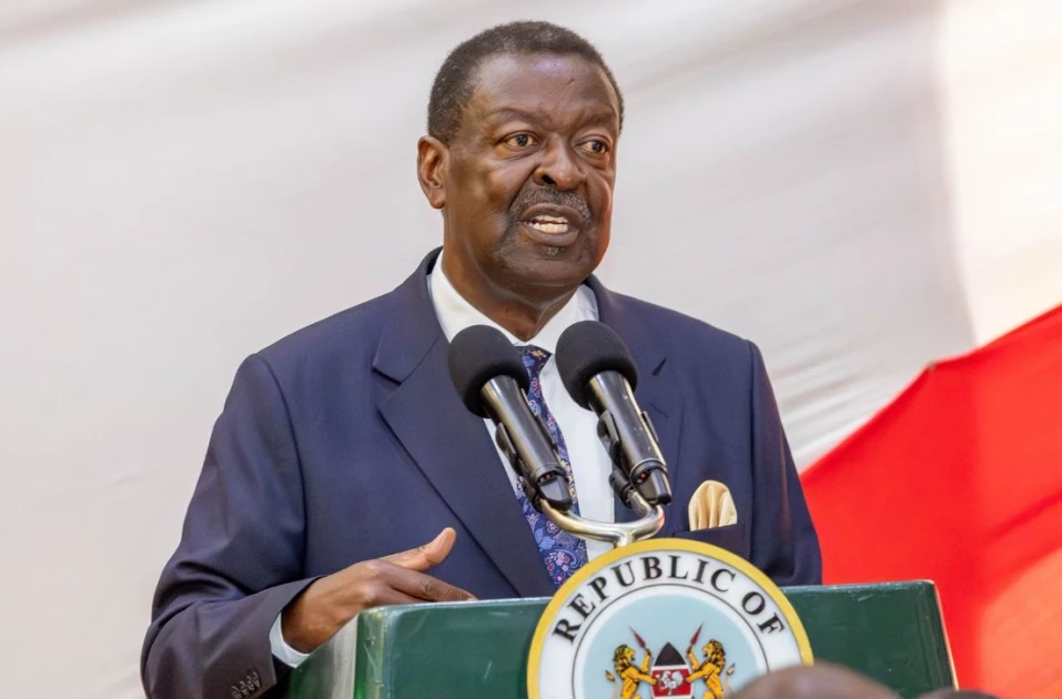 Two Kenyans still held in Tanzania after election violence - Mudavadi reveals