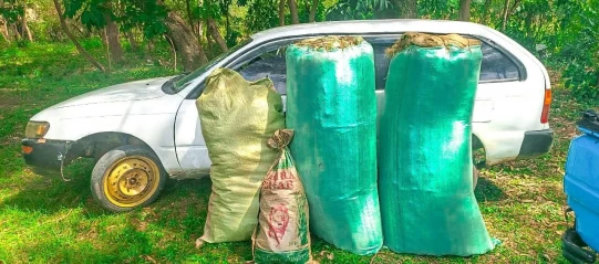 Suspect arrested as four sacks of bhang seized in Homa Bay
