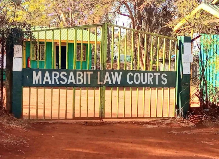 70-year-old grandmother sentenced to 5-year jail term for killing twin babies