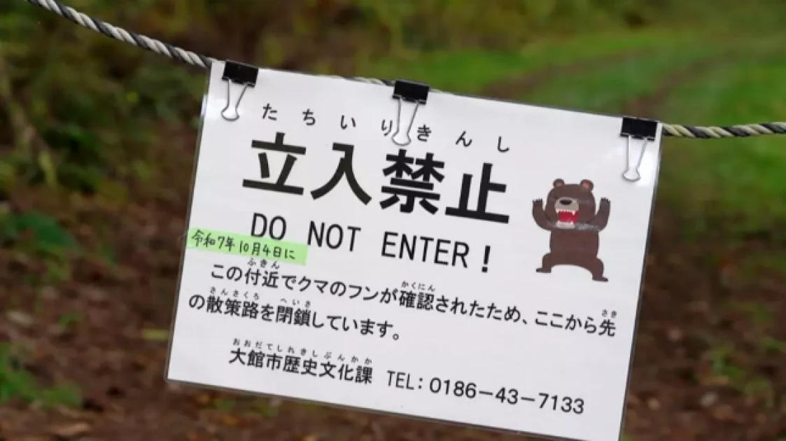 Japan town retracts latest AI bear image