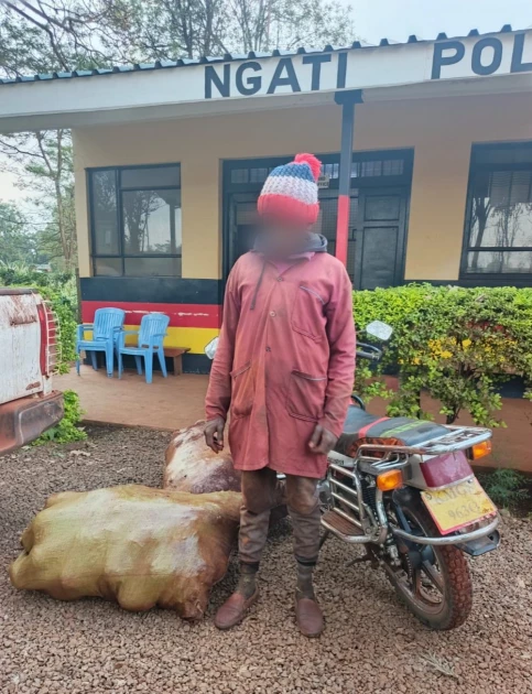 Murang'a: Police recover 120 stolen pineapples in Ithanga Kakuzi operation