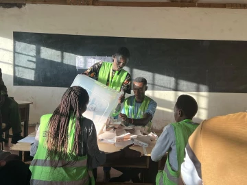 OPINION: By-elections duel and why electorates voted as they did