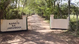 Inside historic Kang’o Ka Jaramogi homestead where Raila, Jaramogi graves lie 