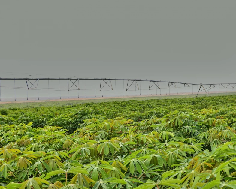 CS Kagwe announces gazettement of Galana Kulalu as Special Economic Zone