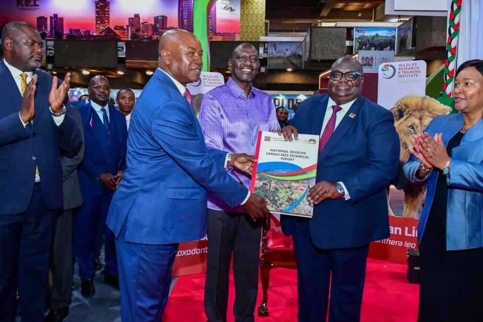 New wildlife census shows elephant boom, sharp decline in rare species