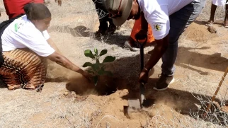 Isiolo: Tree planting initiative launched to mitigate effects of climate change