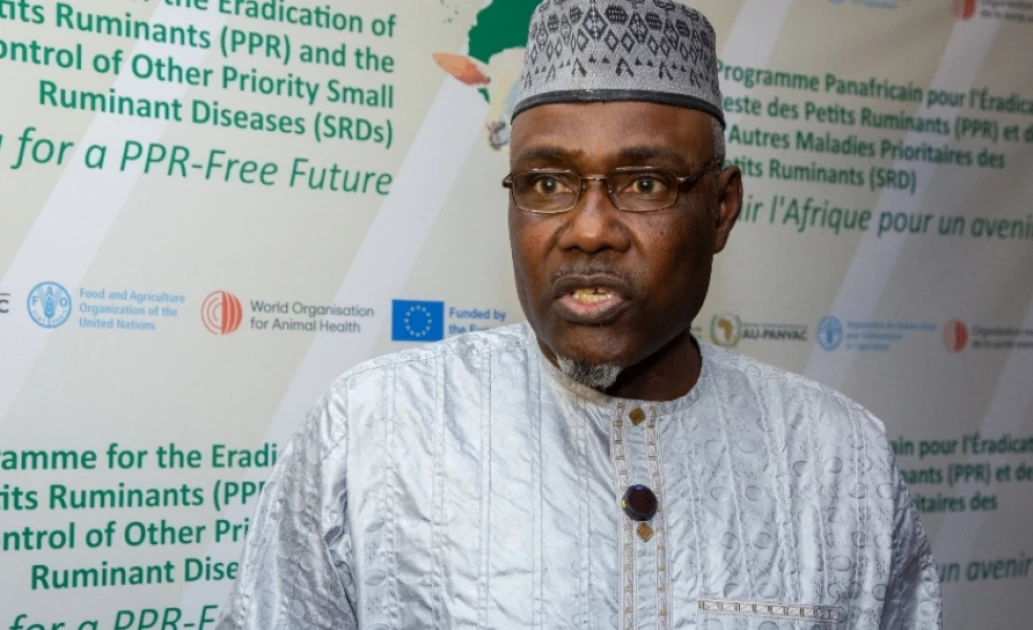 Africa’s new push to end livestock disease that keeps millions poor