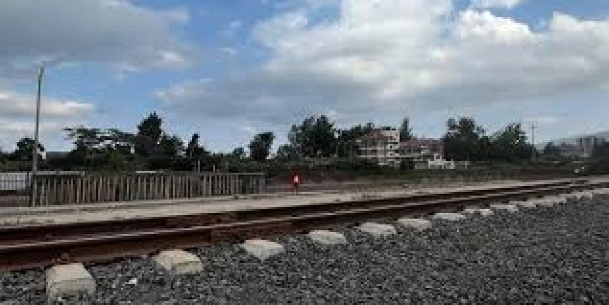 High Court certifies as urgent petition challenging Riruta–Ngong railway funding