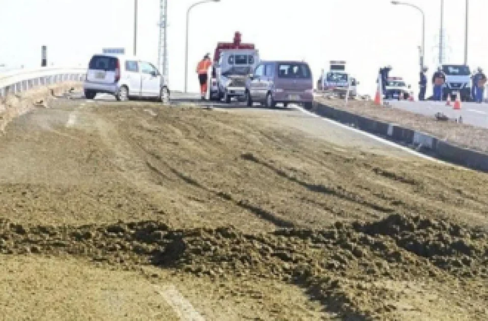 Tea leaf spill causes deadly multi-vehicle crash in Japan