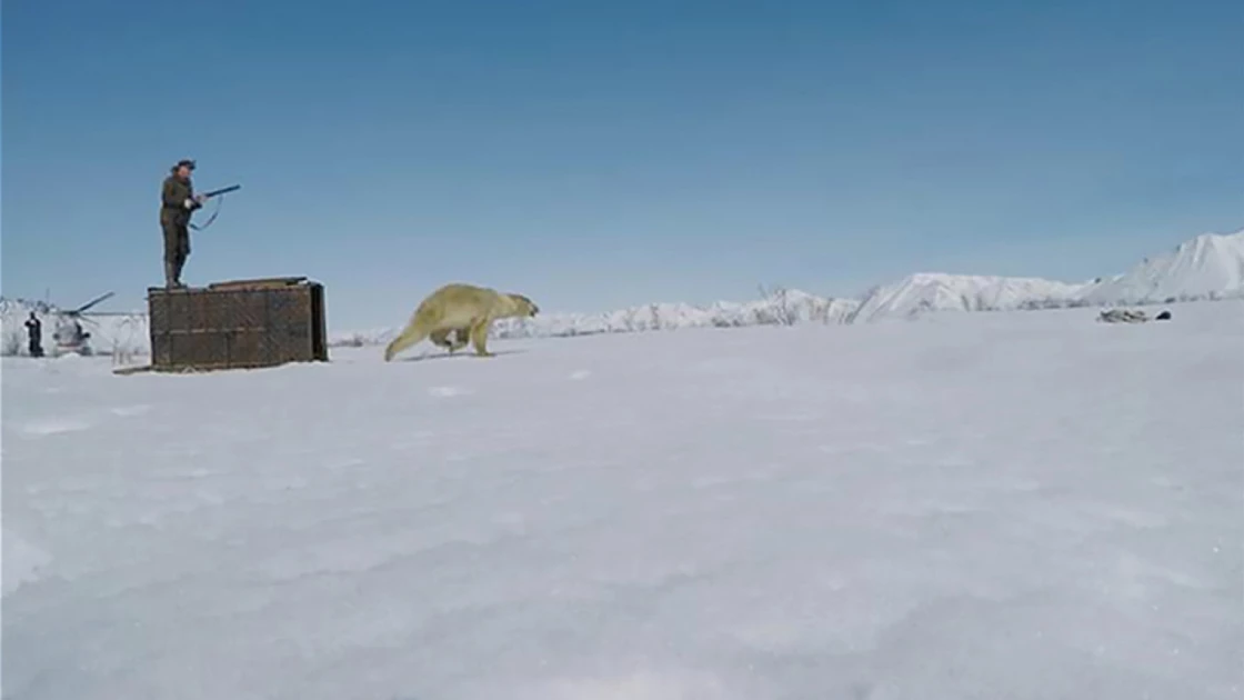 Three hurt in polar bear attack in remote Siberian village
