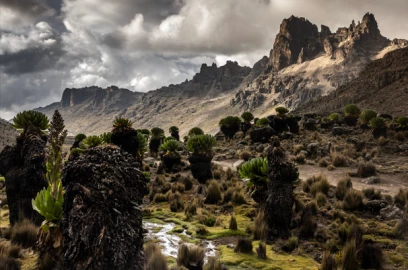 Mystery of tour guide who disappeared in Mt Kenya hiking expedition 