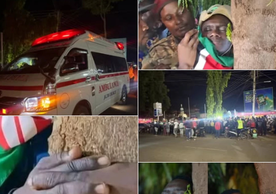 Exhaustion halts pastor’s 80-hour tree-hugging world record attempt