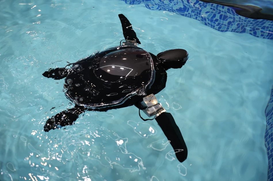 AI toys look for bright side after troubled start