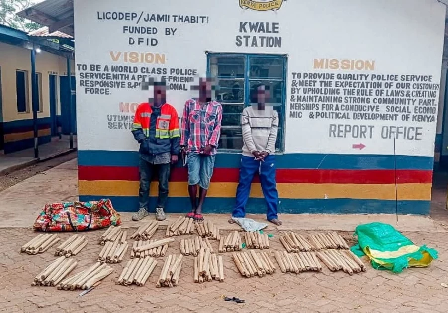 Three suspects arrested in possession of bhang in Kwale