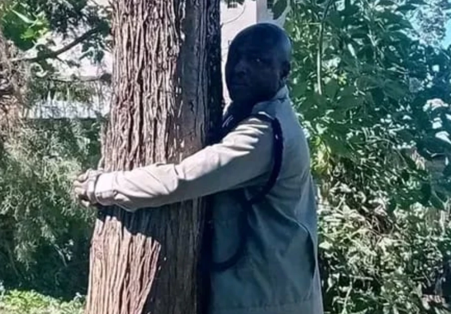 Kericho OCS participating in tree-hugging challenge disengaged, hospitalised over 'depression'