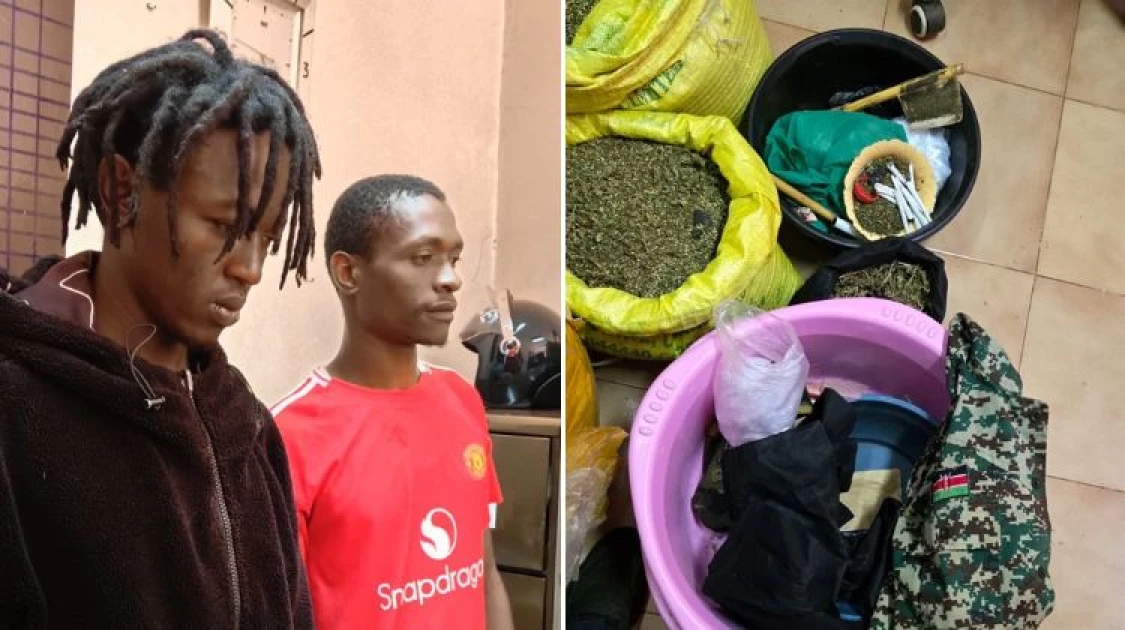 Two suspects arrested with bhang worth Ksh.630K in Meru