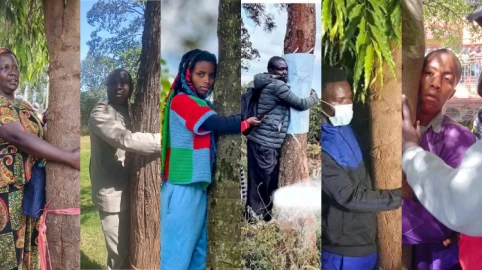 Leaf the tree-hugging alone! Kenyans, we all can’t be Truphena Muthoni, time to branch out