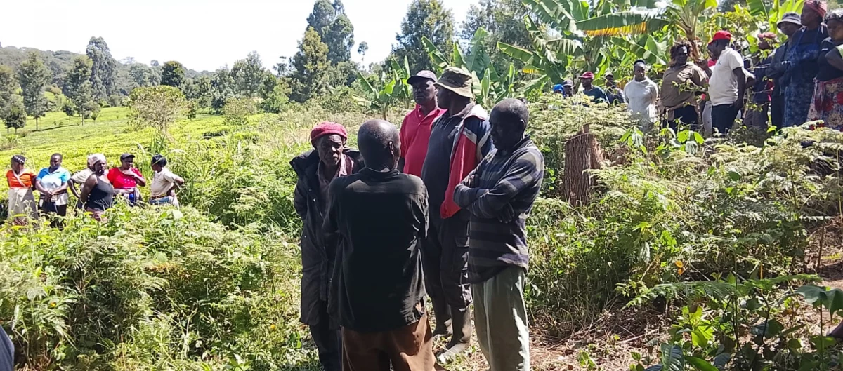 Shock as Kirinyaga man dies by suicide after battle with mental illness
