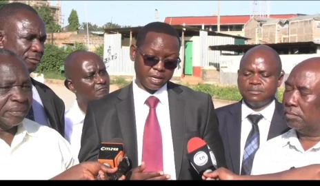 AFA monitoring Macadamia markets to stop harvest of immature nuts